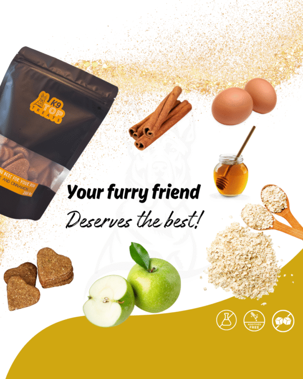 1 Apple & Cinnamon Treats