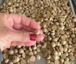 Mini Apple and Cinnamon Training Treats